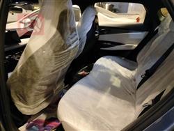 بي واي دي سيليون 06 DM-i